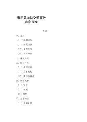 青田县道路交通事故应急预案.docx