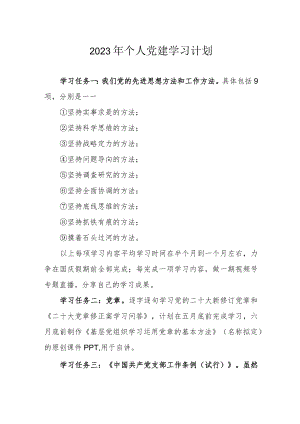 2023年个人党建学习计划.docx