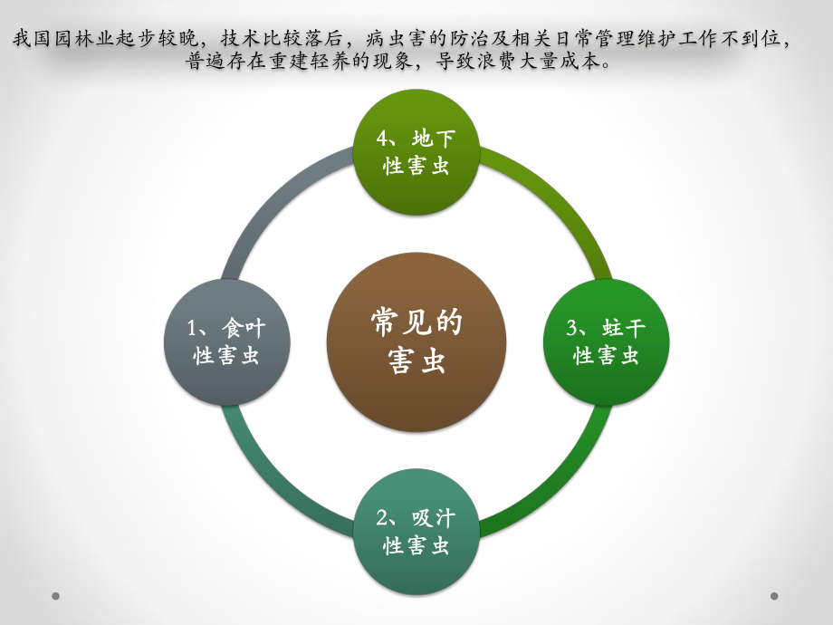 常见病虫害防治.pptx_第2页