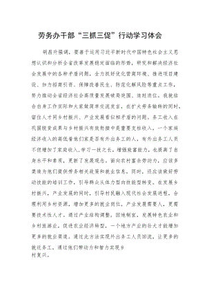 劳务办干部“三抓三促”行动学习体会.docx
