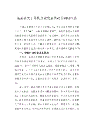 某某县关于外资企业发展情况的调研报告.docx