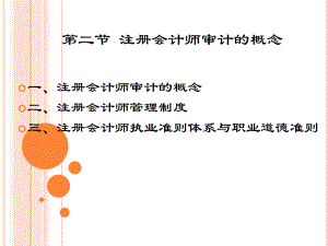 注册会计师审计的概念.pptx