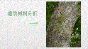 建筑材料分析——木材.pptx