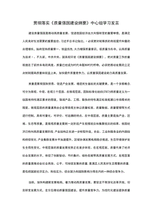 贯彻落实《质量强国建设纲要》中心组学习发言.docx