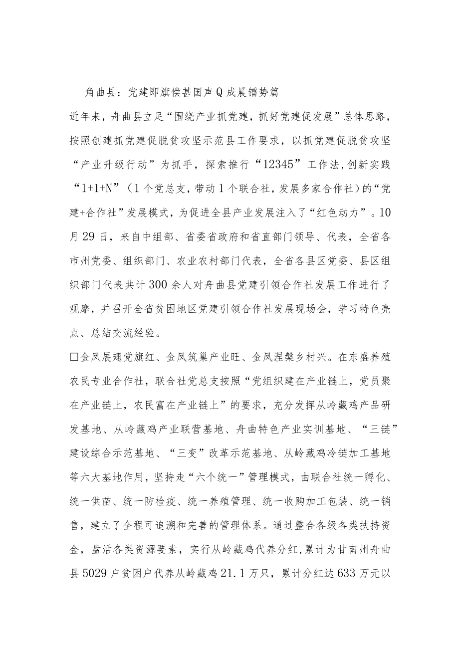 -舟曲县:党建引领绘蓝图 产业发展谱新篇.docx_第1页