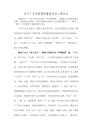 学习广东考察调研重要讲话心得体会.docx