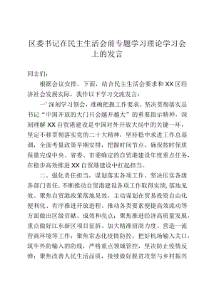 在民主生活会前专题学习理论学习会上的发言.docx