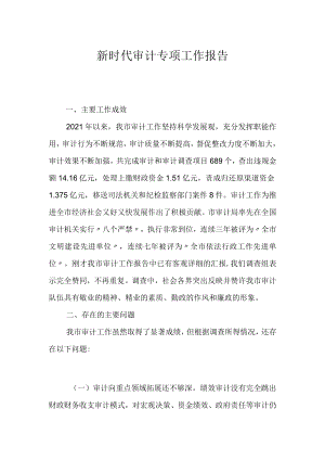 新时代审计专项工作报告.docx