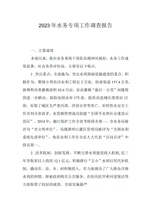 2023年水务专项工作调查报告.docx