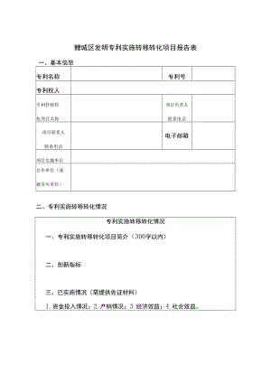 鲤城区发明专利实施转移转化项目报告表.docx