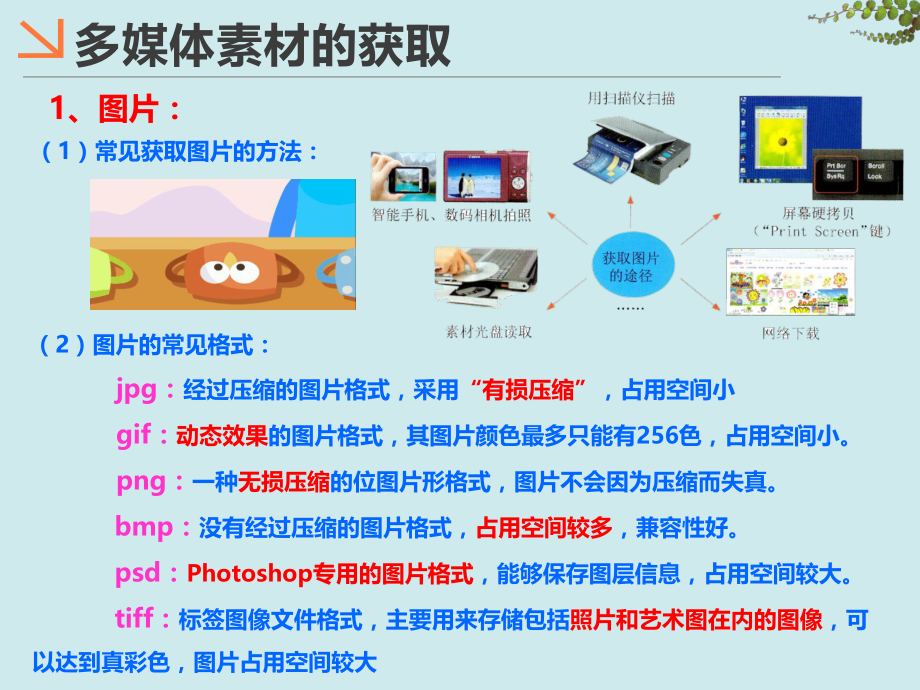 多媒体素材加工.pptx_第3页