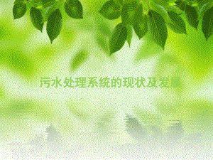 污水处理系统.pptx