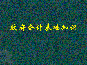 政府会计基础知识.pptx