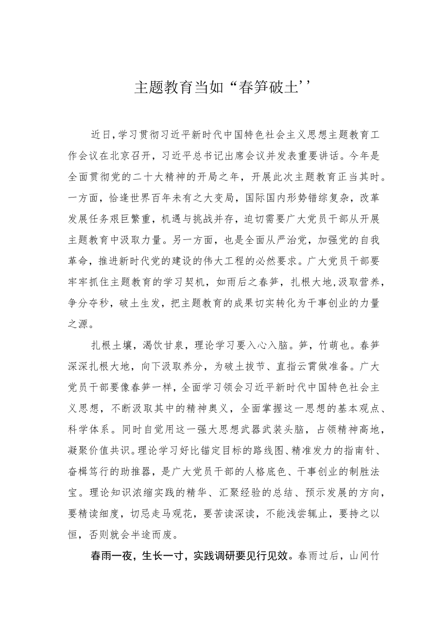 主题教育研讨发言材料：主题教育当如“春笋破土”.docx_第1页