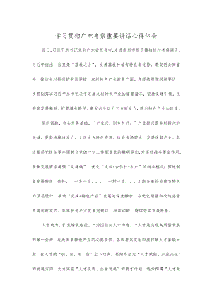 学习贯彻广东考察重要讲话心得体会.docx