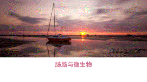 肠脑与微生物.pptx