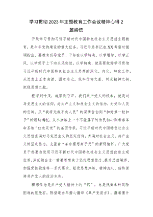 学习贯彻2023年主题教育工作会议精神心得2篇感悟.docx