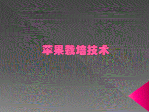 苹果栽培技术讲座.pptx