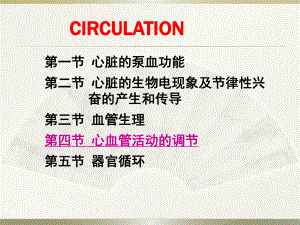 生理学循环系统.pptx