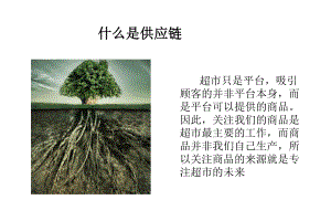 生鲜采购供应链管理.pptx