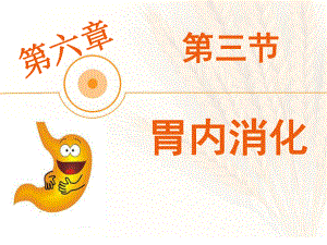 生理学胃内消化.pptx