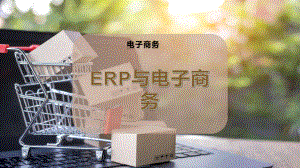 ERP与电子商务.pptx
