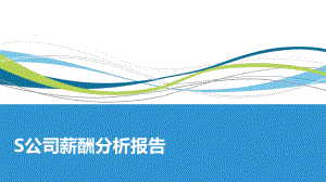 S公司薪酬分析报告.pptx