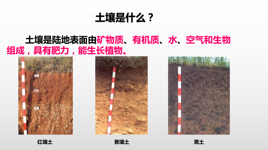 培训课件2土壤.pptx_第2页