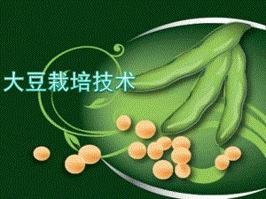 大豆栽培技术.pptx