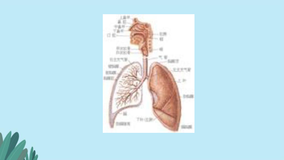 季常见传染病ppt.pptx_第3页