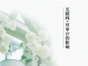 互联网+对审计影响.pptx