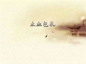 止血包扎ppt..pptx