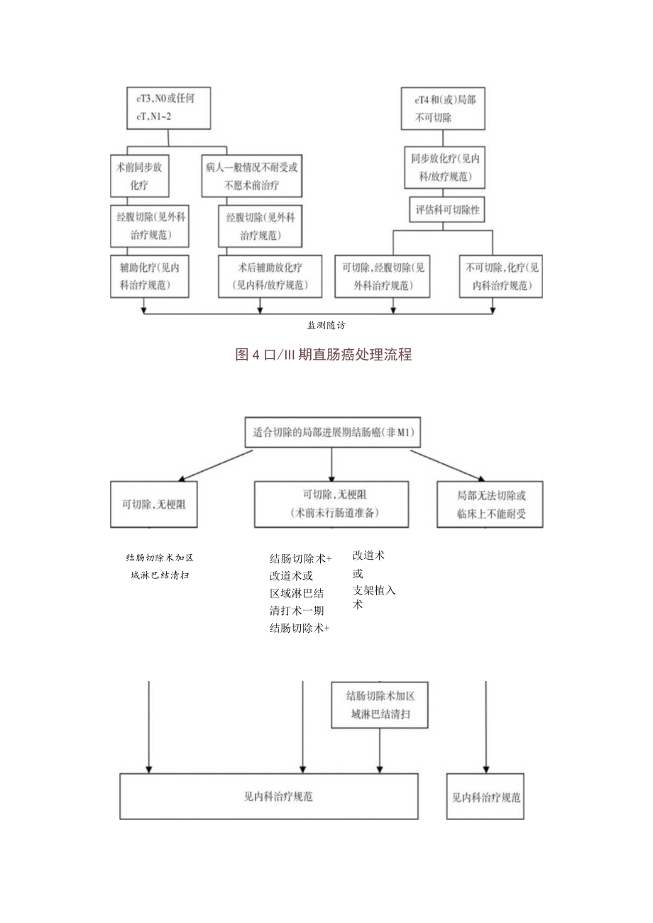 最新：结直肠癌诊疗标准处理流程图（附图）.docx_第3页