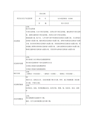 项目安全生产应急管理.docx