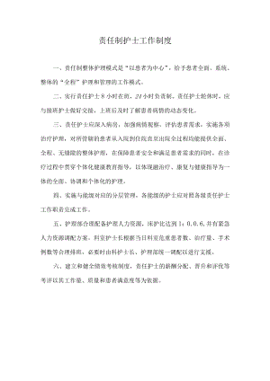 责任制护士工作制度.docx