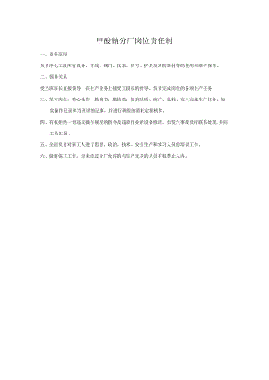 甲酸钠分厂岗位责任制.docx