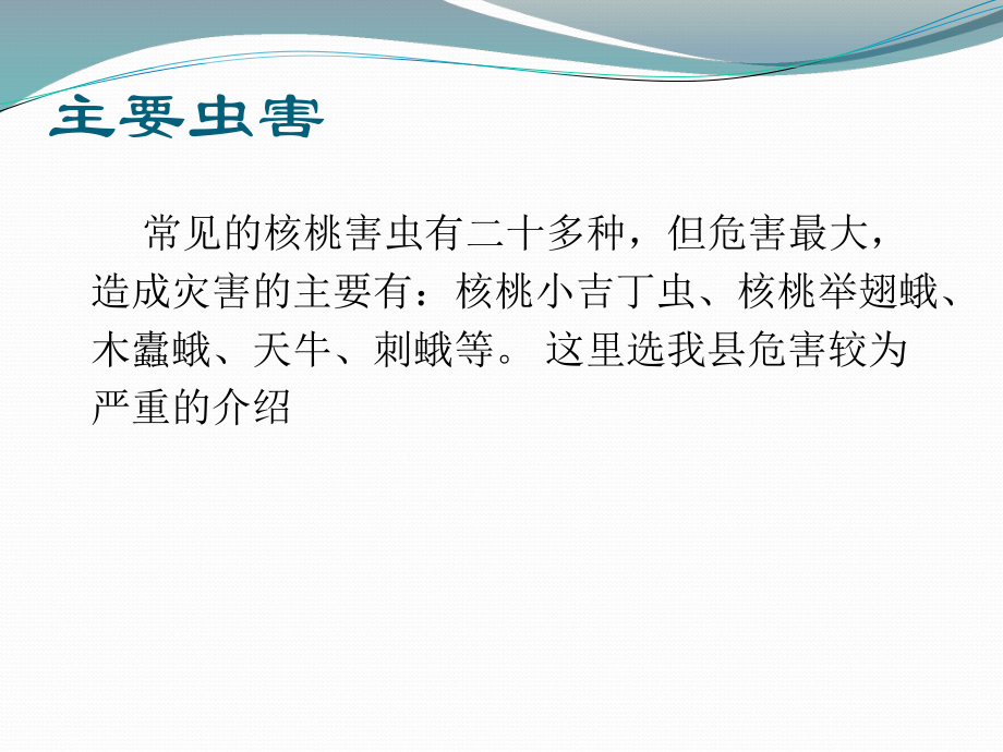 核桃病虫害防治.pptx_第3页