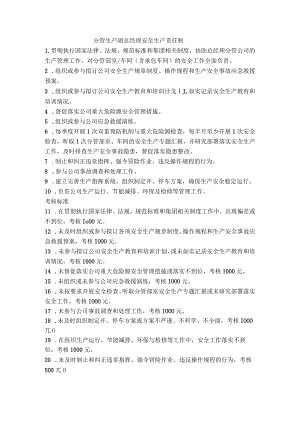 分管生产副总经理安全生产责任制.docx