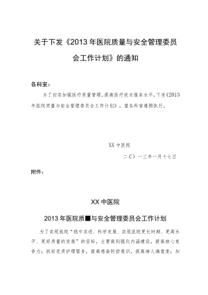 医院质量与安全管理委员会年度工作计划.docx