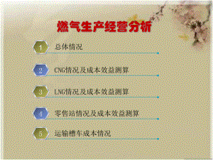 燃气公司财务分析.pptx