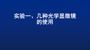 细胞生物学实验.pptx