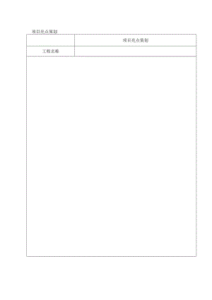 项目亮点策划表.docx