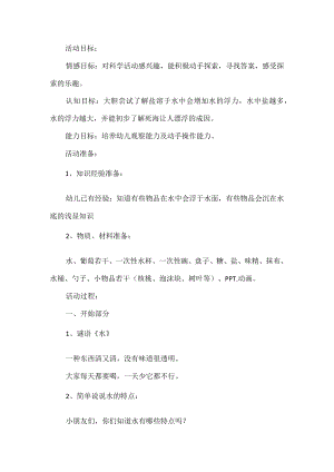 大班科学活动方案.docx