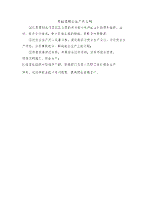 总经理安全生产责任制.docx