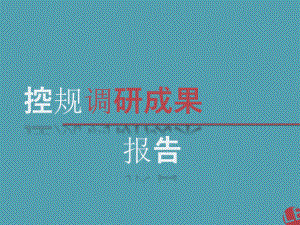 控规调研报告.pptx