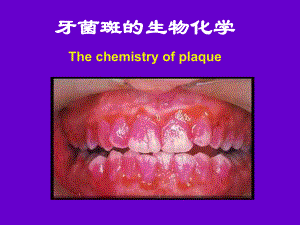 牙菌斑的生物化学.pptx