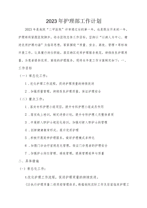 2023年护理部工作计划.docx