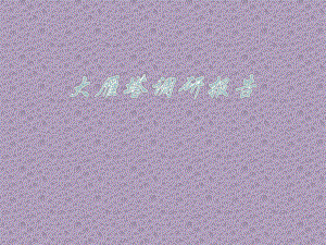 大雁塔调研报告.pptx