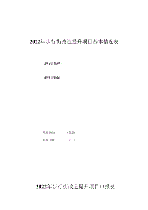 2022年步行街改造提升项目基本情况表.docx