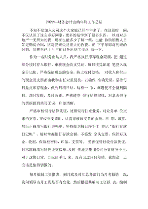2022年汽车运输公司财务会计出纳年终工作总结.docx